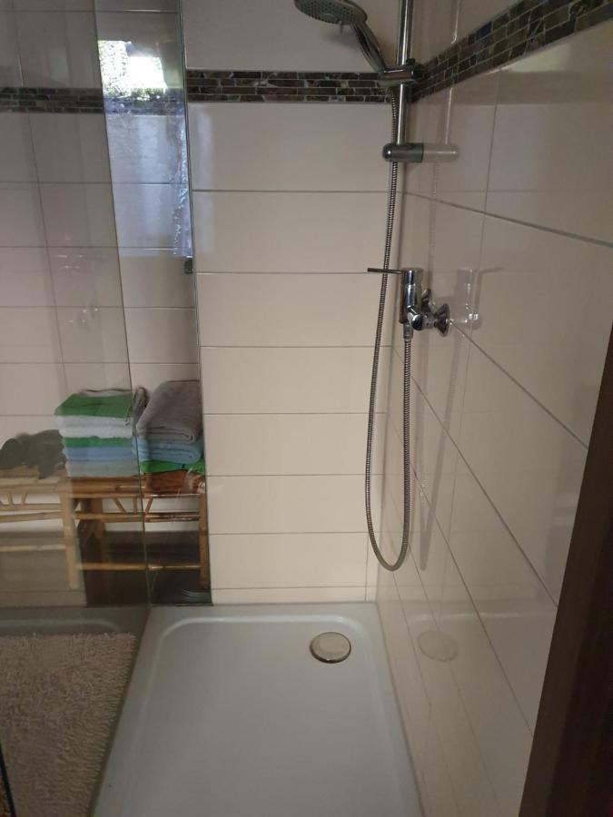 Wasserweibchen Neptun Appartement Diez Buitenkant foto