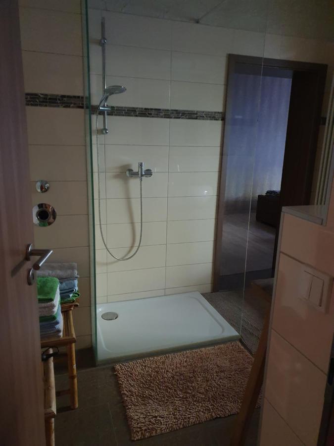 Wasserweibchen Neptun Appartement Diez Buitenkant foto